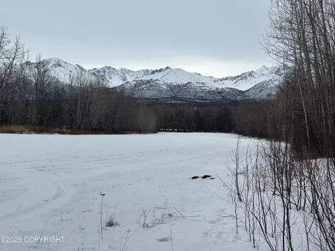 Other - 24220 E Bannon Way, Sutton, AK 99674 photo 42 of 110
