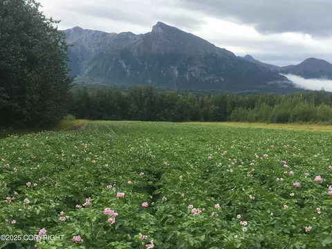 Other - 24220 E Bannon Way, Sutton, AK 99674 photo 2 of 110