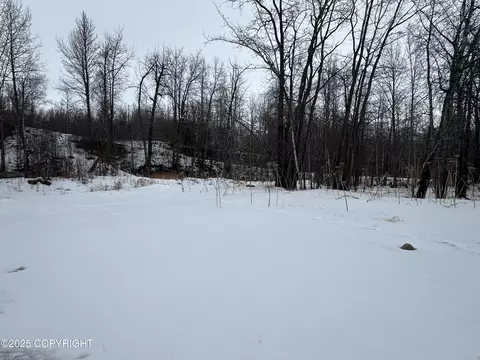 Other - 24220 E Bannon Way, Sutton, AK 99674 photo 55 of 110