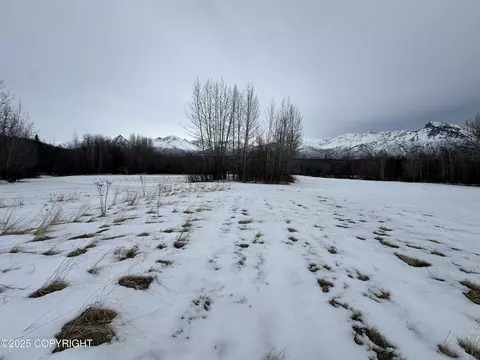 Other - 24220 E Bannon Way, Sutton, AK 99674 photo 47 of 110