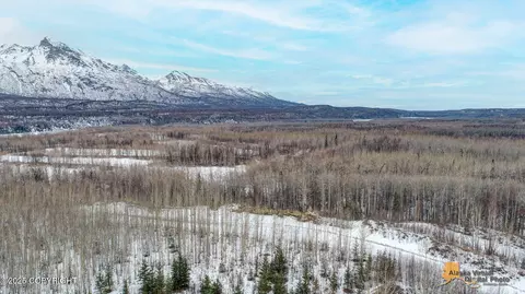 Other - 24220 E Bannon Way, Sutton, AK 99674 photo 105 of 110