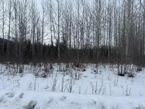 Other - 24220 E Bannon Way, Sutton, AK 99674 photo 50 of 110