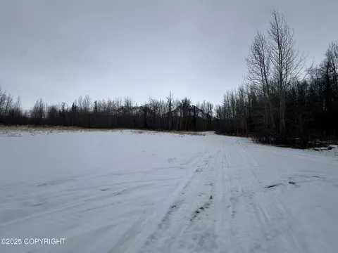 Other - 24220 E Bannon Way, Sutton, AK 99674 photo 38 of 110