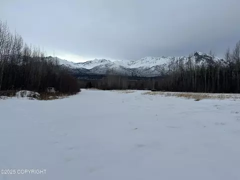 Other - 24220 E Bannon Way, Sutton, AK 99674 photo 29 of 110