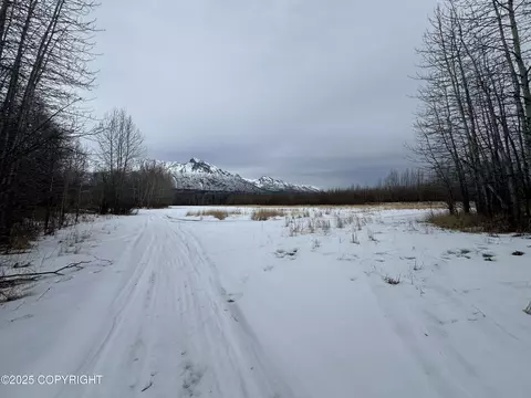 Other - 24220 E Bannon Way, Sutton, AK 99674 photo 33 of 110
