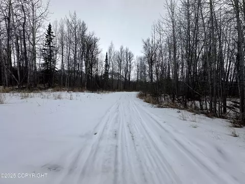 Other - 24220 E Bannon Way, Sutton, AK 99674 photo 35 of 110