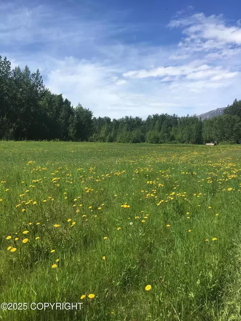Other - 24220 E Bannon Way, Sutton, AK 99674 photo 7 of 110