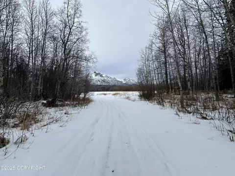 Other - 24220 E Bannon Way, Sutton, AK 99674 photo 32 of 110