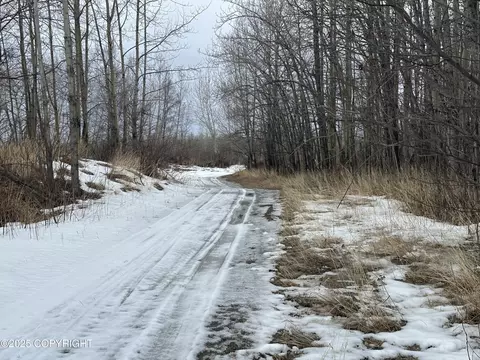 Other - 24220 E Bannon Way, Sutton, AK 99674 photo 43 of 110