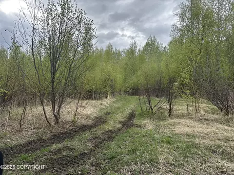 Other - 24220 E Bannon Way, Sutton, AK 99674 photo 71 of 110