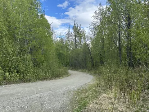 Other - 24220 E Bannon Way, Sutton, AK 99674 photo 66 of 110