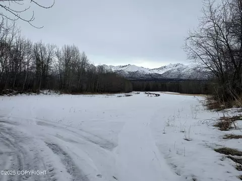 Other - 24220 E Bannon Way, Sutton, AK 99674 photo 28 of 110