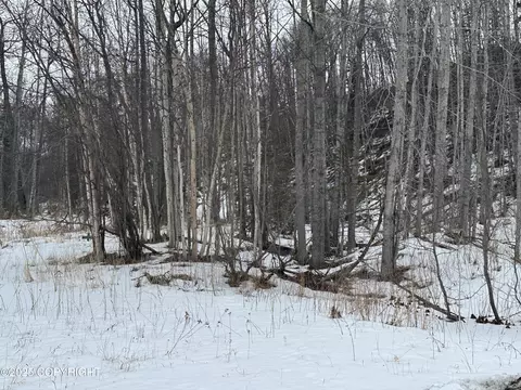 Other - 24220 E Bannon Way, Sutton, AK 99674 photo 48 of 110