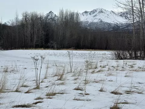 Other - 24220 E Bannon Way, Sutton, AK 99674 photo 46 of 110