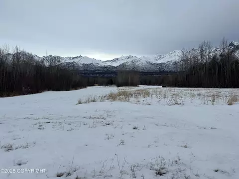 Other - 24220 E Bannon Way, Sutton, AK 99674 photo 15 of 110