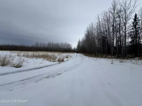Other - 24220 E Bannon Way, Sutton, AK 99674 photo 34 of 110