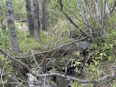 Other - 24220 E Bannon Way, Sutton, AK 99674 photo 65 of 110