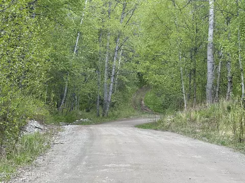 Other - 24220 E Bannon Way, Sutton, AK 99674 photo 69 of 110