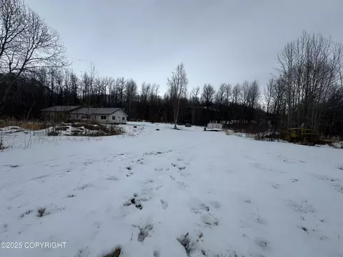 Exterior - 24220 E Bannon Way, Sutton, AK 99674 photo 6 of 15