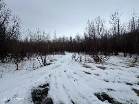 Other - 24220 E Bannon Way, Sutton, AK 99674 photo 31 of 110