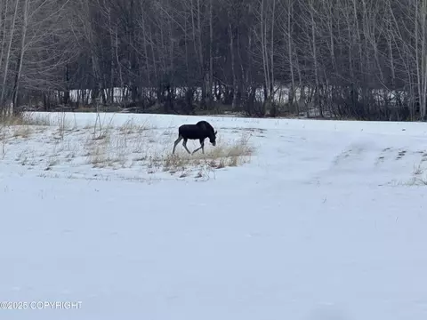Other - 24220 E Bannon Way, Sutton, AK 99674 photo 59 of 110