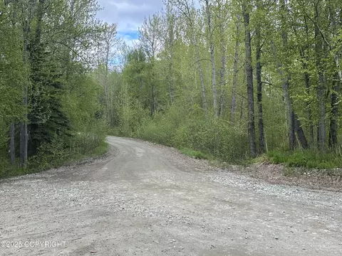 Other - 24220 E Bannon Way, Sutton, AK 99674 photo 67 of 110