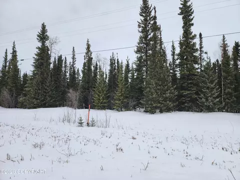 B4 Tr3 Barley Way, Delta Junction, AK 99737