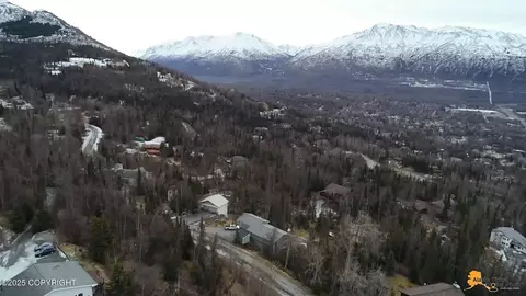 View/Area - 18812 Upper Skyline Dr, Eagle River, AK 99577 photo 10 of 12