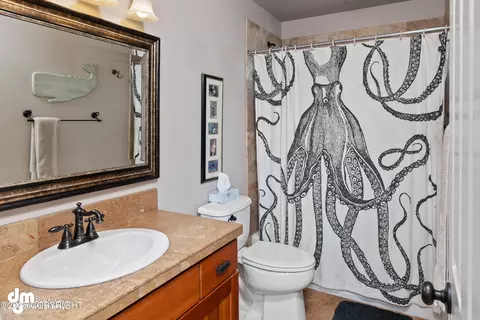 Bath - 16124 Rosenburg Cir, Eagle River, AK 99577 photo 2 of 3