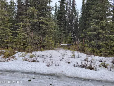 L13 B3 Squirrel Street, Kasilof, AK 99610