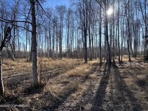 11011 W King Arthur Dr, Wasilla, AK 99623