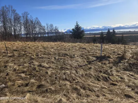 4690 Craftsman Rd, Homer, AK 99603
