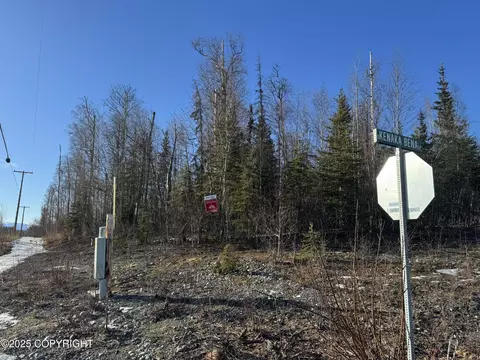 L1 S K'enaka Bena Loop, Big Lake, AK 99654