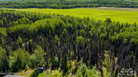 13687 E Beaver Dr, Willow, AK 99688