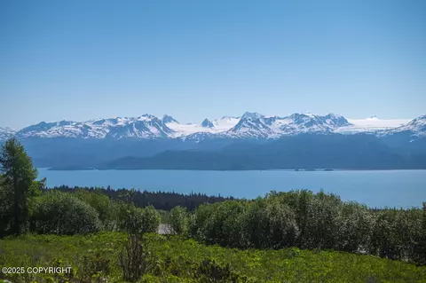 L3 Hutler Road, Homer, AK 99603