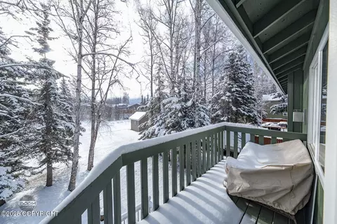 16711 Theodore Dr, Eagle River, AK 99577 photo 19