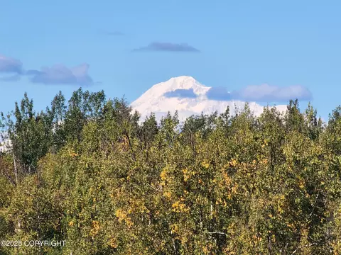 14791 E Susitna Lndg Rd, Willow, AK 99688 photo 17