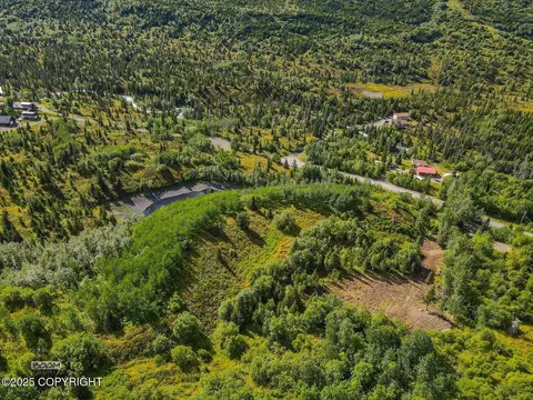 L10 Wolf Drive, Eagle River, AK 99577 photo 7