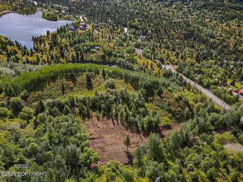 L10 Wolf Drive, Eagle River, AK 99577 photo 5