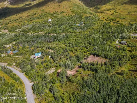 L10 Wolf Drive, Eagle River, AK 99577 photo 16