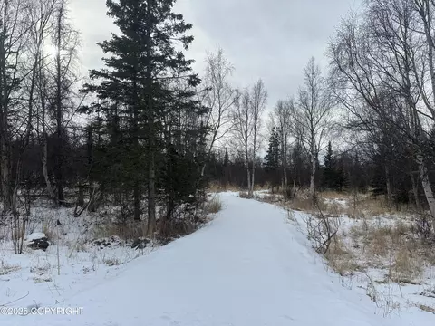 3910 N Vista Dr, Palmer, AK 99645