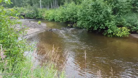 15080 N Deception Shores Cir, Willow, AK 99688