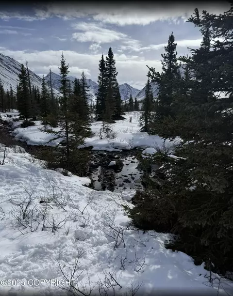 Other - 21427 River Park Dr, Eagle River, AK 99577 photo 14 of 14