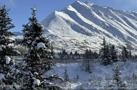 Other - 21427 River Park Dr, Eagle River, AK 99577 photo 13 of 14