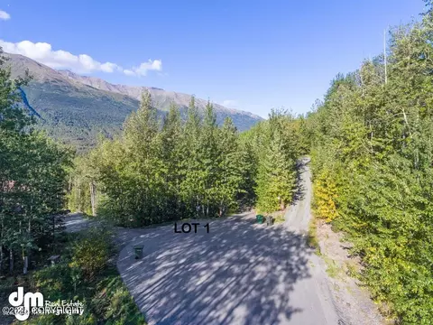 L1 Misty Mountain Circle, Eagle River, AK 99577