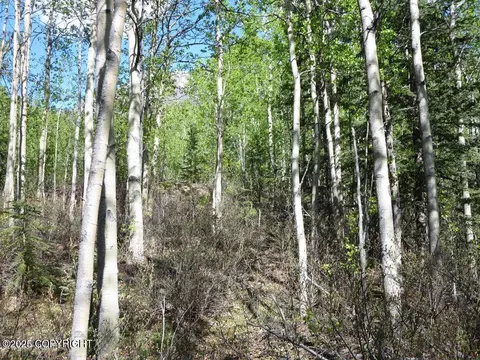 L1 Misty Mountain Circle, Eagle River, AK 99577 photo 3