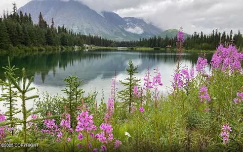 Mi 214.5 Parks Highway, Cantwell, AK 99729