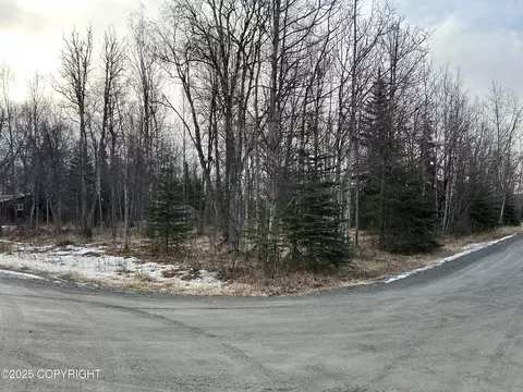 157 E Beluga Ave, Soldotna, AK 99669