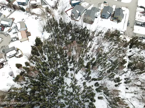 3026 E 68th Ave, Anchorage, AK 99507 photo 4
