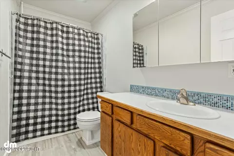 Bath - 10535 Crest View Ln, Eagle River, AK 99577 photo 5 of 5